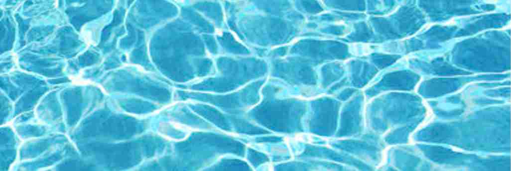 take a dip with your dogs